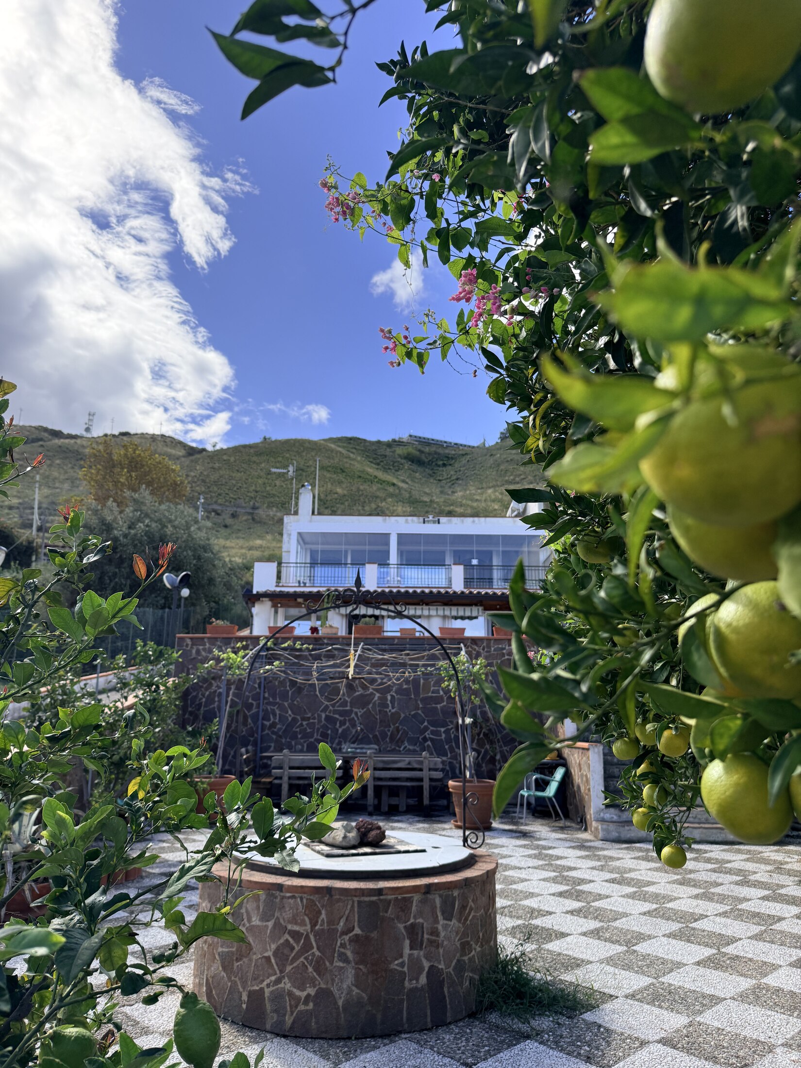 A tiled courtyard surrounded by citrus trees