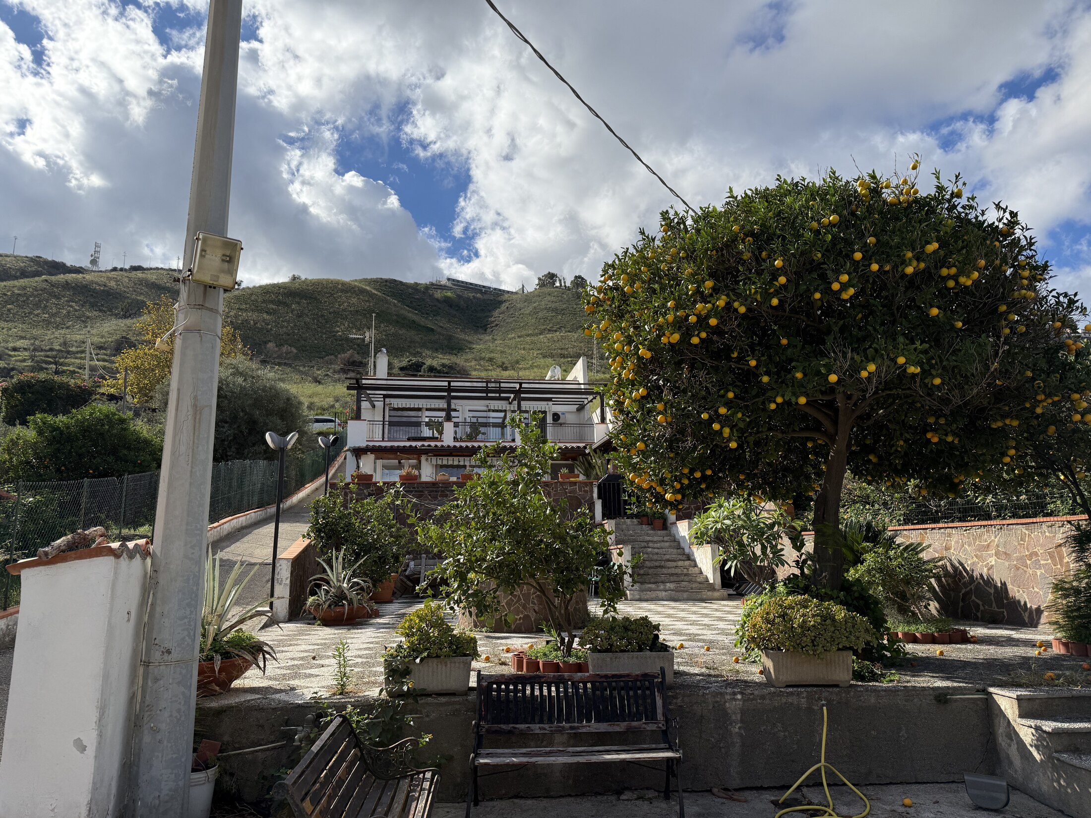 The house and garden beneath a clear blue sky