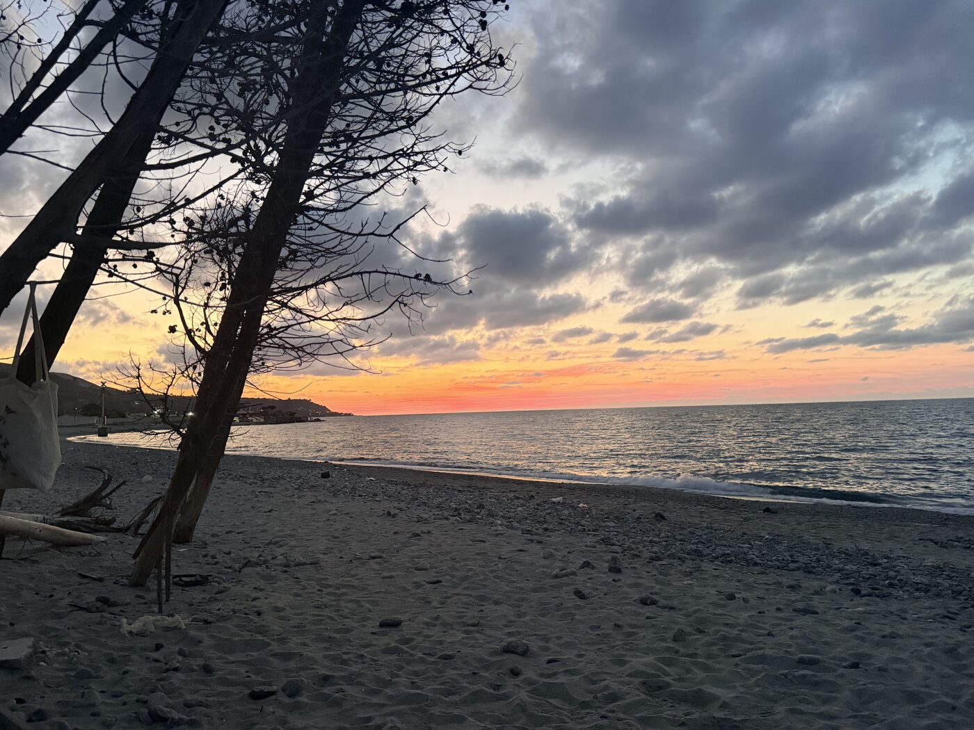 Trees silhouetted beside the beach at sunset
